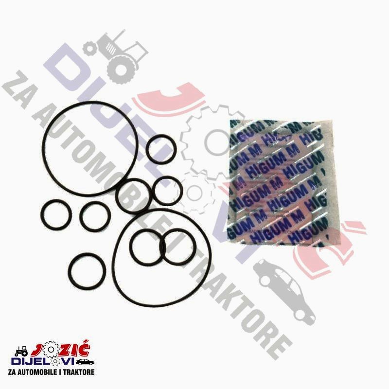 Daisy on the Ohoopee